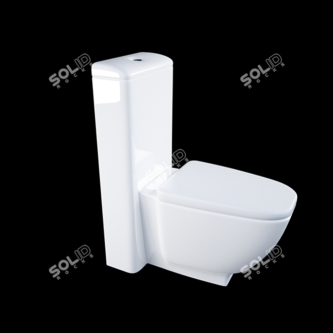 Sanitana Tocai BTW Toilet 3D model image 1