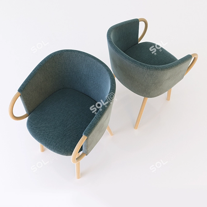 Zant Chair  Elegant and Versatile 3D model image 2