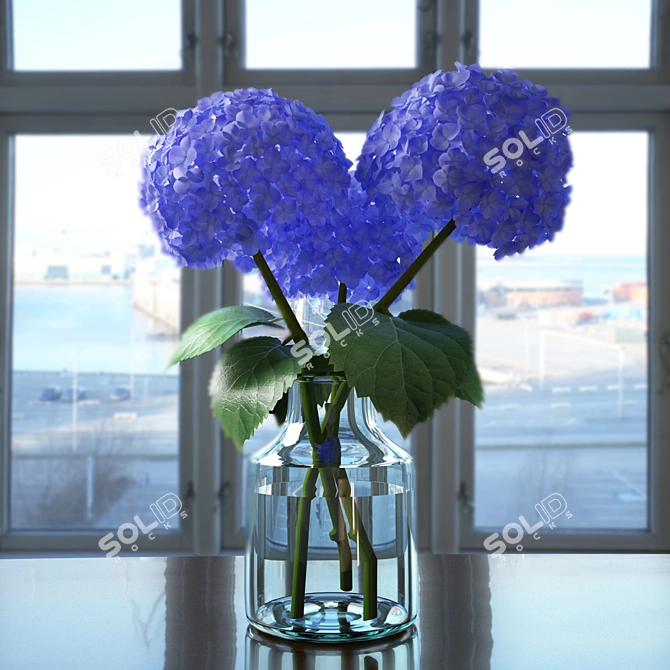 Elegant Hydrangea Blooms 3D model image 1
