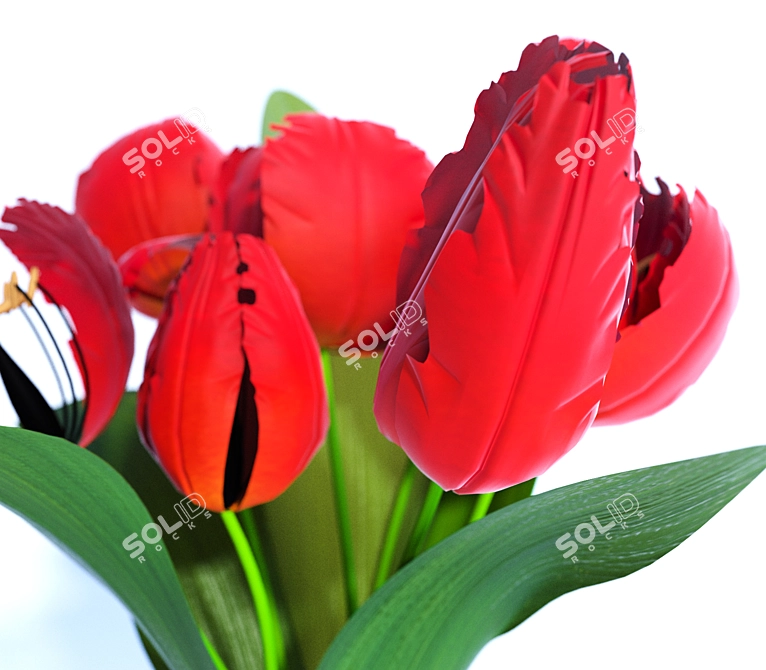 Elegant Tulip Bouquet 3D model image 2