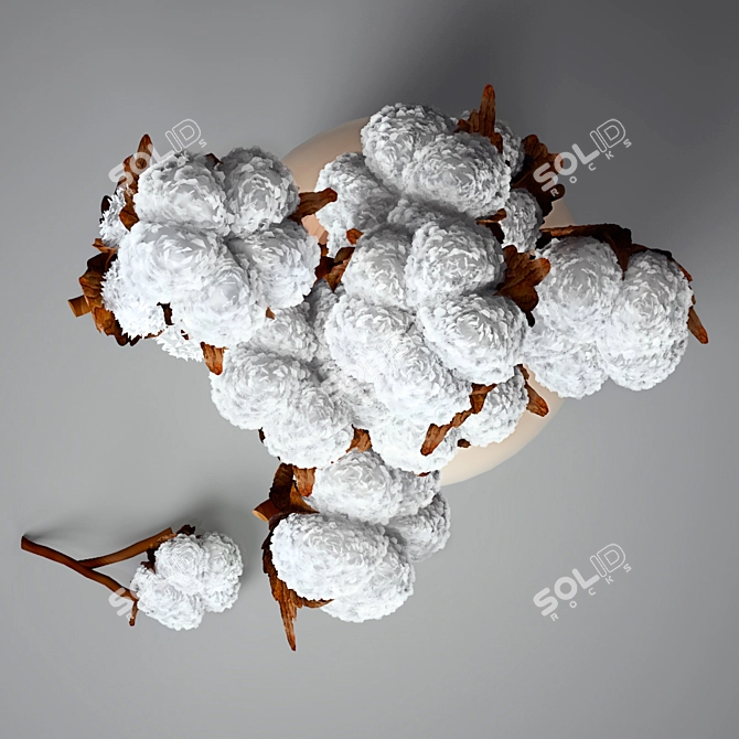 Cotton Branch Decorative Accessory 3D model image 2