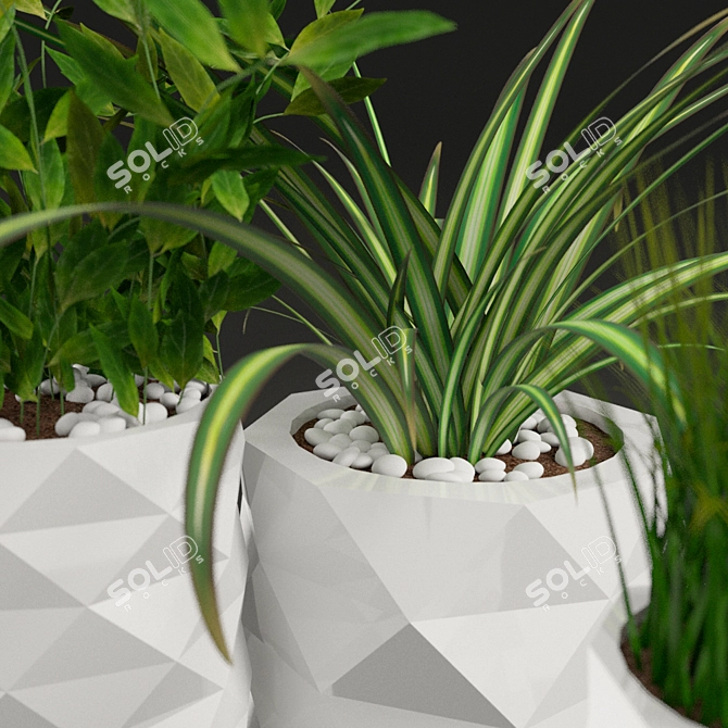 Marquis Potted Plants: Greenery Collection 3D model image 1