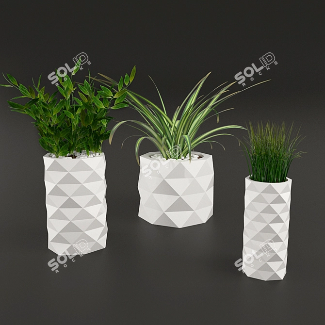 Marquis Potted Plants: Greenery Collection 3D model image 2