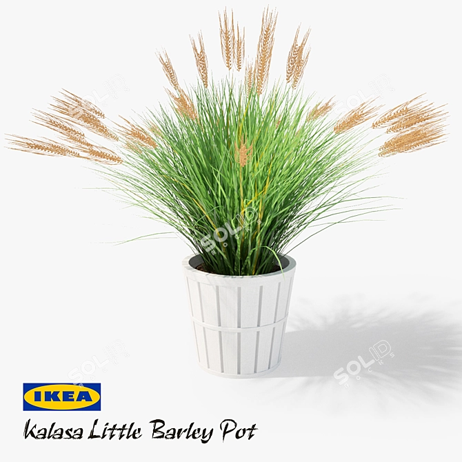 IKEA Kalasa Plant Pot: Stylish and Versatile 3D model image 1