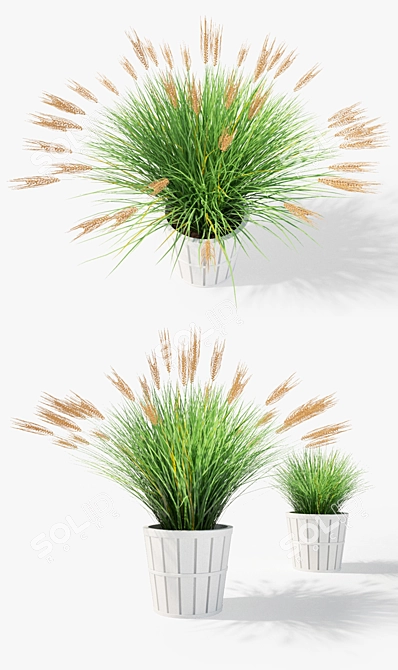 IKEA Kalasa Plant Pot: Stylish and Versatile 3D model image 2