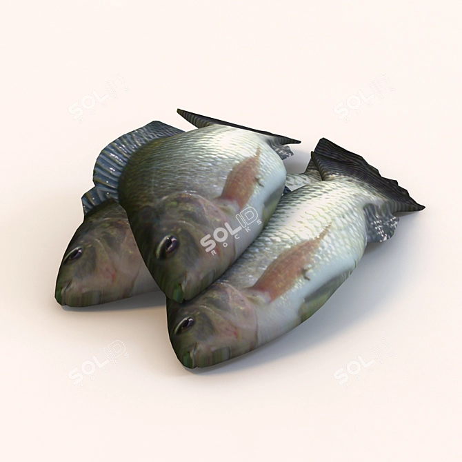 Texture-Based Fish Telapia for Your Kitchen 3D model image 1