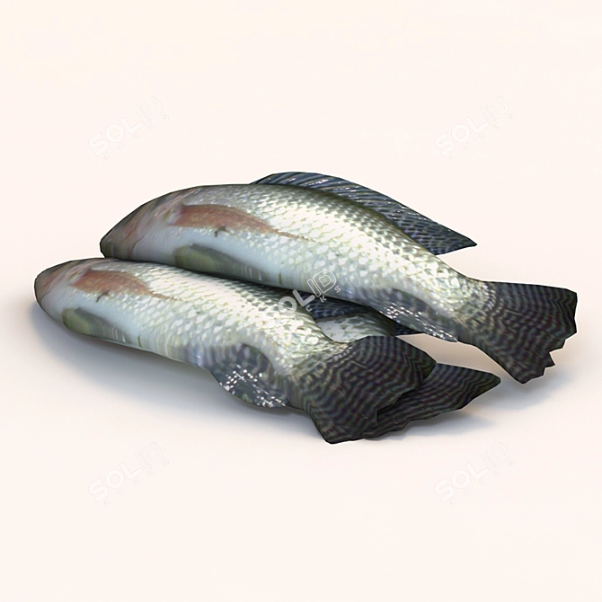 Texture-Based Fish Telapia for Your Kitchen 3D model image 2