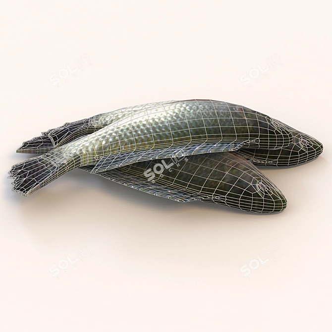 Texture-Based Fish Telapia for Your Kitchen 3D model image 3