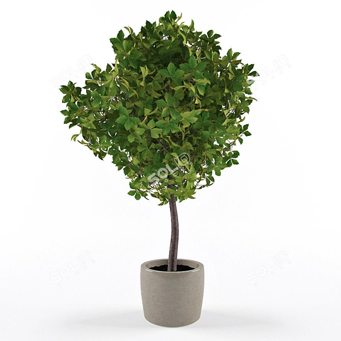 Foliage Paradise: Decorative Houseplant 3D model image 1