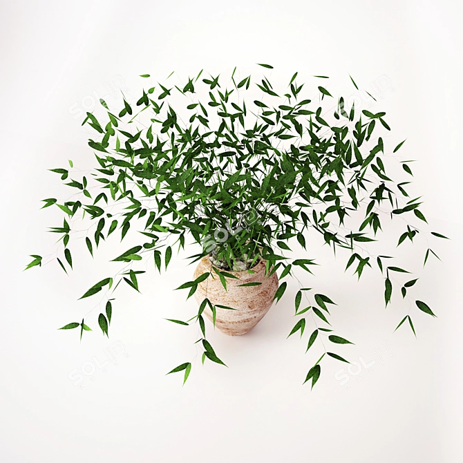Lush Green Foliage | 3dsMax 2011-Compatible 3D model image 2