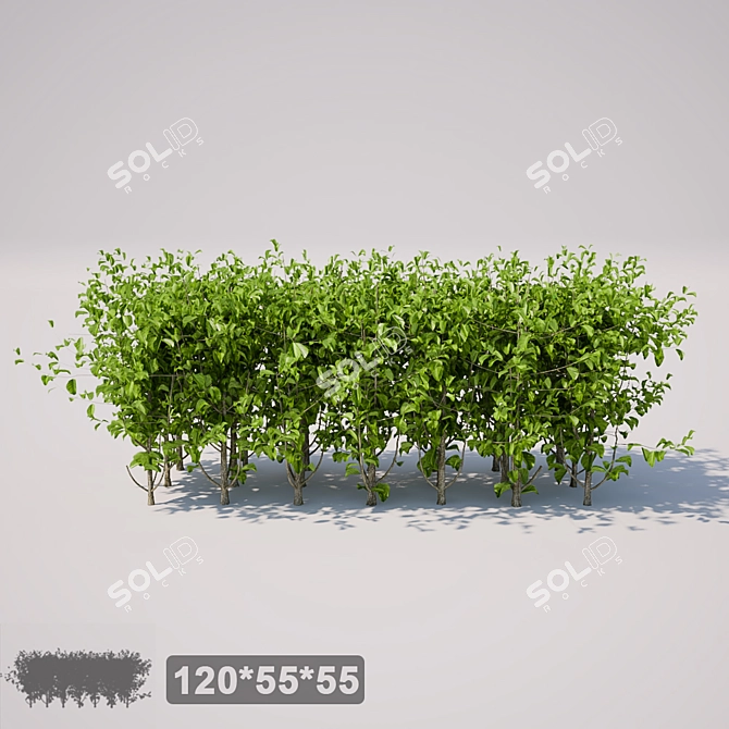 Mini Square Shrub - 120x55x55 3D model image 1