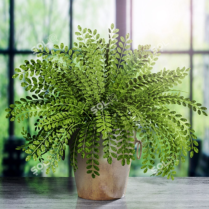 Stylish Decorative Plant: A Touch of Green 3D model image 1