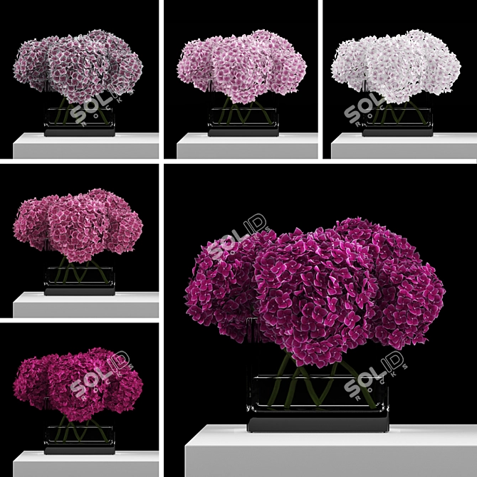 Blooming Pink Hydrangeas Bouquet 3D model image 1