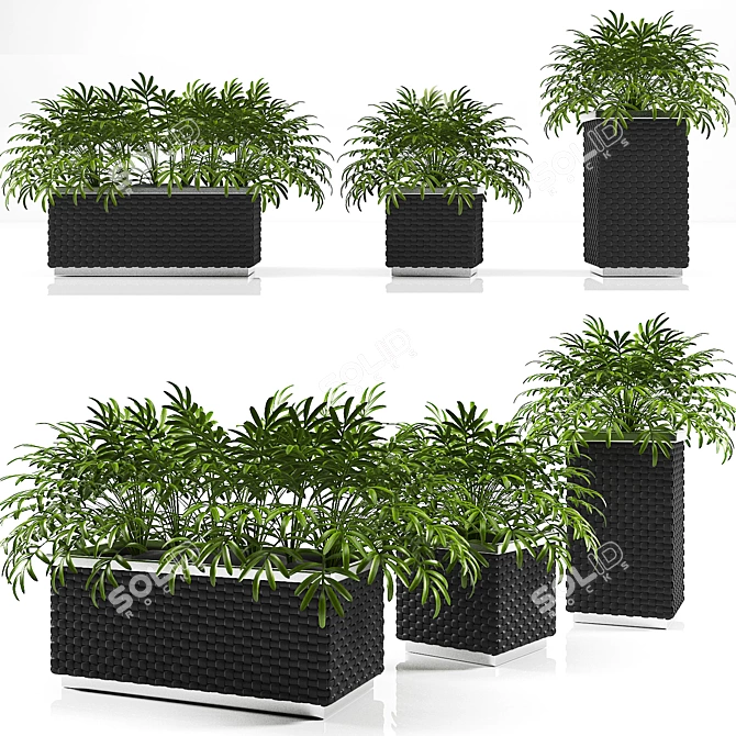 Versatile Planter Box Collection 3D model image 1