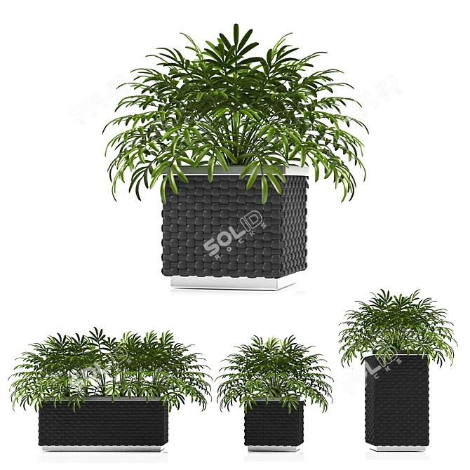 Versatile Planter Box Collection 3D model image 2