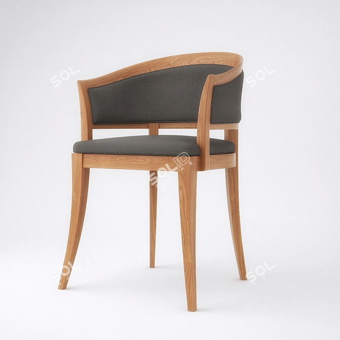  Custom Poly Model Vray Guest Chair 3D model image 1