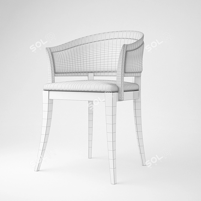  Custom Poly Model Vray Guest Chair 3D model image 2