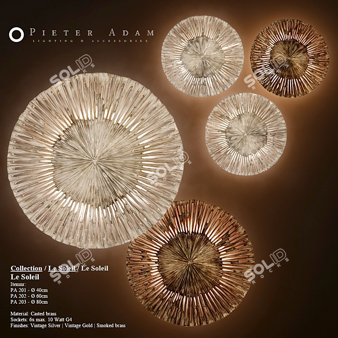 Pieter Adam Le Soleil: Decorative Wall discs & sconces 3D model image 1