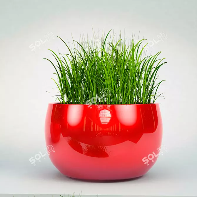 Lush Potted Grass: Beautiful, Low-Maintenance 3D model image 1