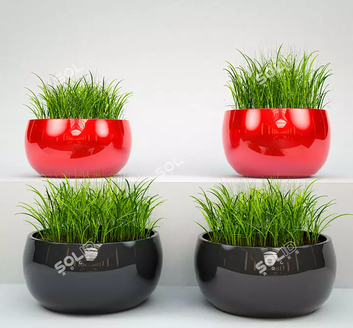 Lush Potted Grass: Beautiful, Low-Maintenance 3D model image 2