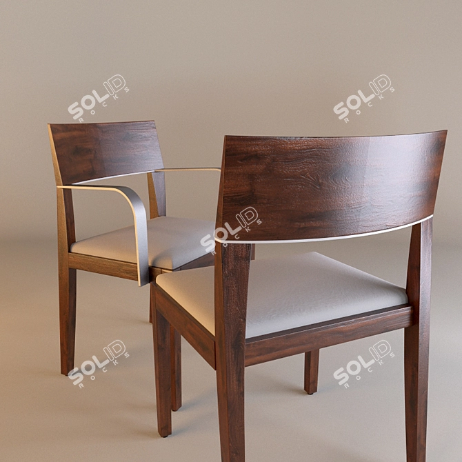Elegant Tonon Tendence Leather Chair 3D model image 3