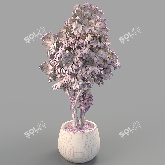 Lush Green Potted Bush 3D model image 2