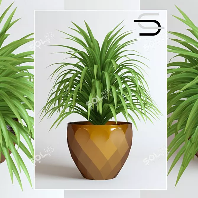 Leafy Green Bush in Pot 3D model image 1