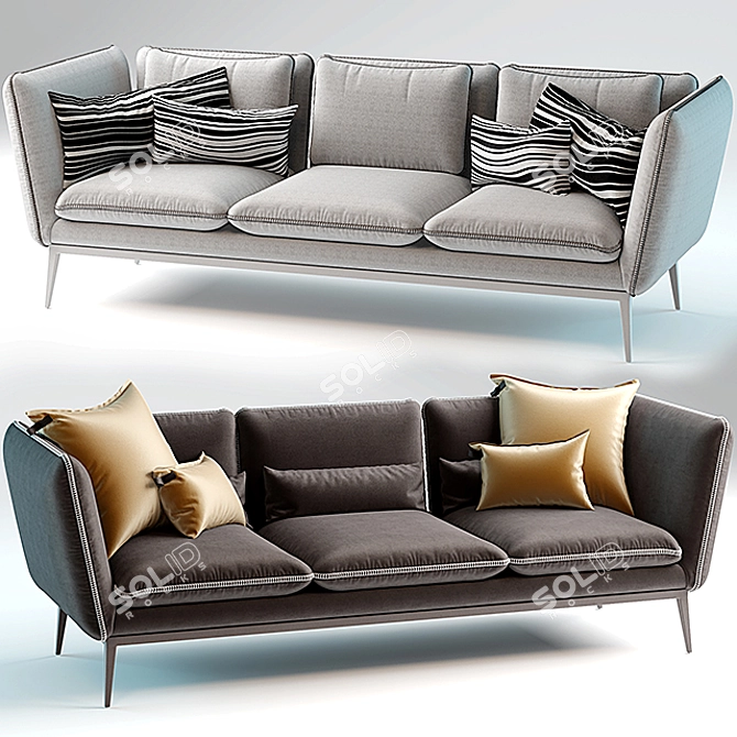 Versatile Sofa in 2 Color Options 3D model image 1