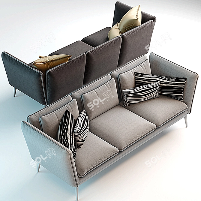 Versatile Sofa in 2 Color Options 3D model image 3