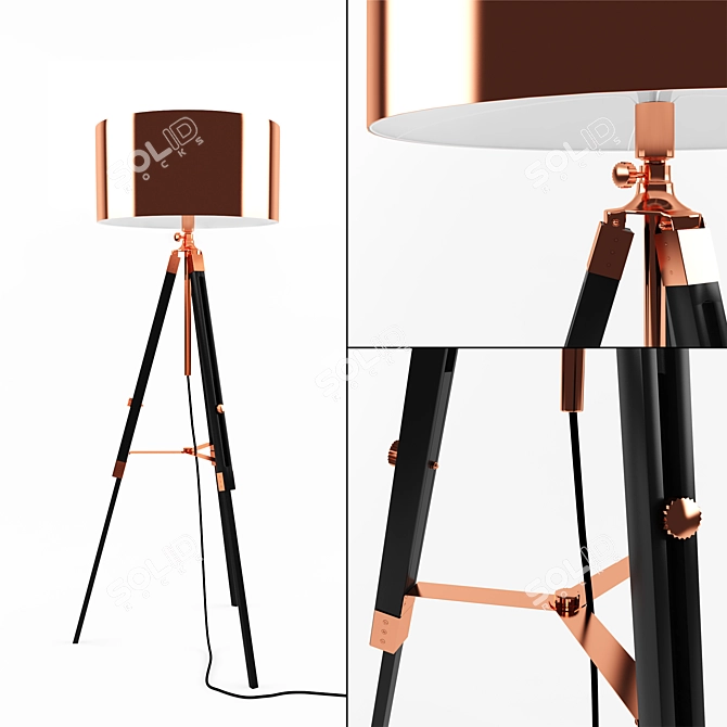 Vintage Copper Wood Floor Lamp 3D model image 1