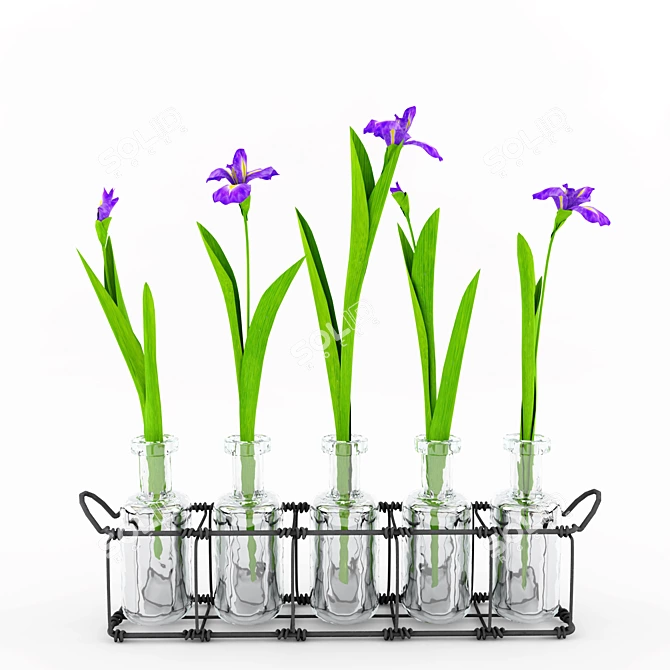 Ethereal Blooms: Irises 3D model image 1