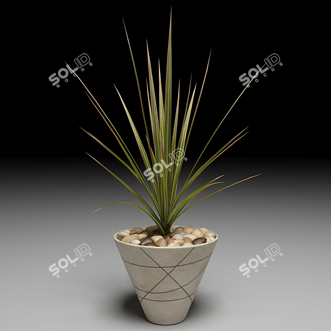 Lush Dracaena Marginata Tree 3D model image 1