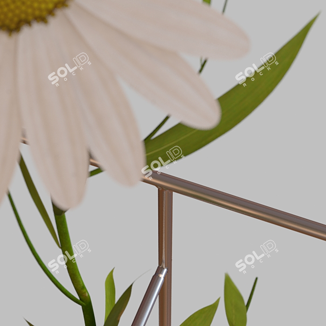 Flasked Daisies: Petite Botanical Delight 3D model image 2