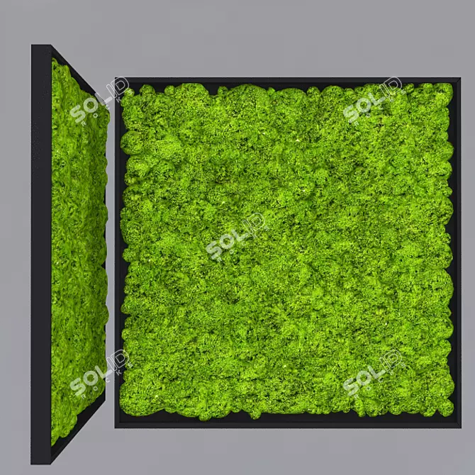 1000mm x 1000mm Moss Art 3D model image 1