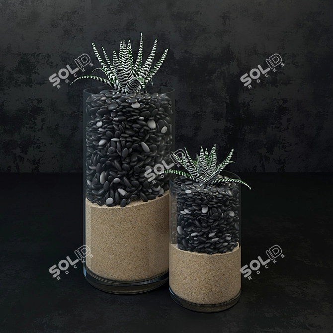 Haworthia Succulent Plant - Decorative Beauty 3D model image 1