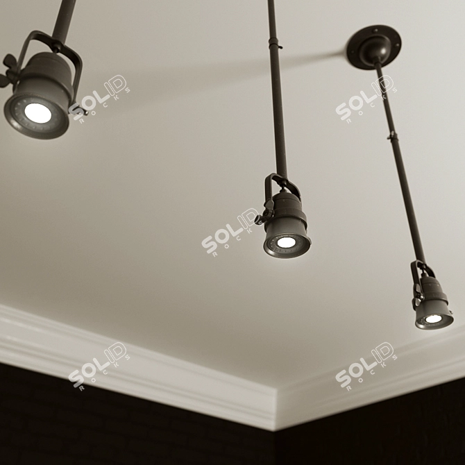 Robers HL2621 Ceiling Light Fixture 3D model image 2