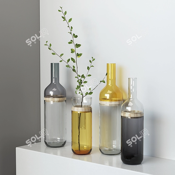 Elegant Glass Bottle Vases 3D model image 1