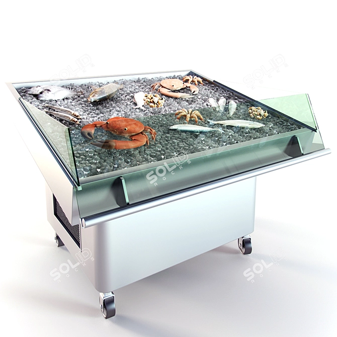 Fish Cooling Table: Freshness and Efficiency 3D model image 3