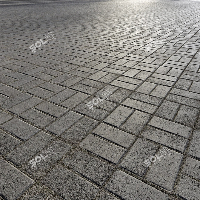 Gray Pavers: Clean & Dirty Finishes 3D model image 2