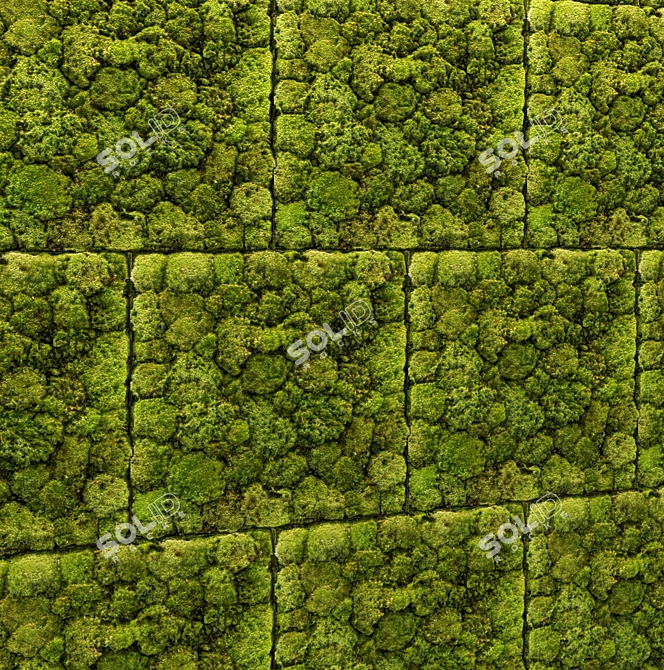 Everlasting Greens: Stone & Moss 3D model image 2