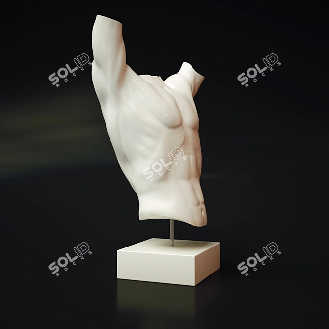 Sleek Torso Sculpture 3D model image 2