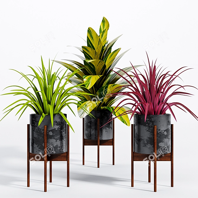 Versatile Decorative Plants - 4 3D model image 2