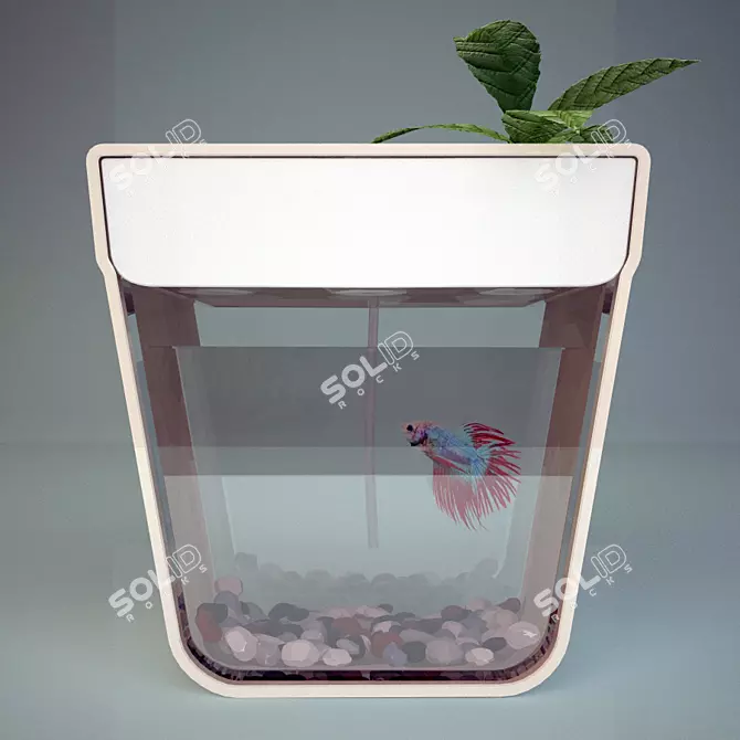 Transparent Fish Pond - 30.5x29.5cm 3D model image 1