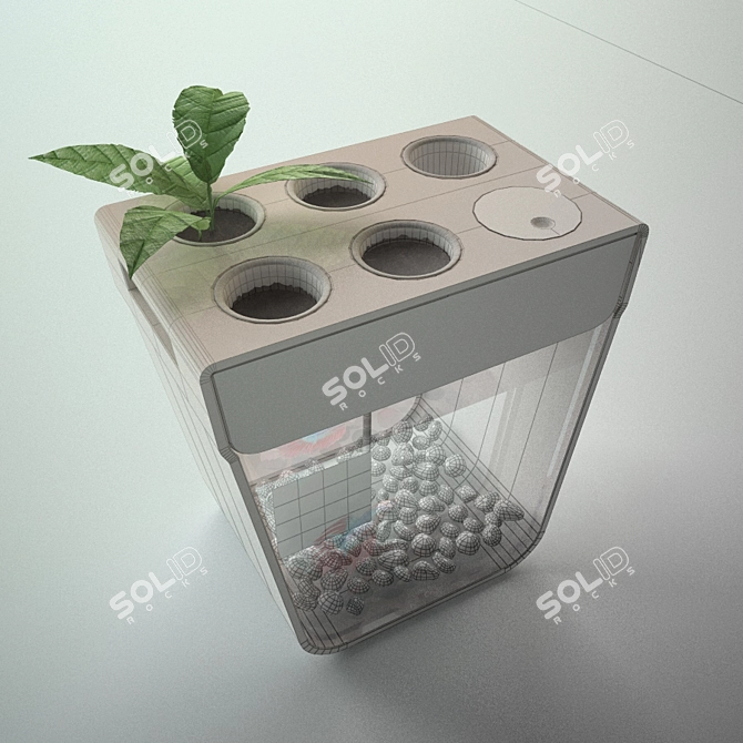 Transparent Fish Pond - 30.5x29.5cm 3D model image 2