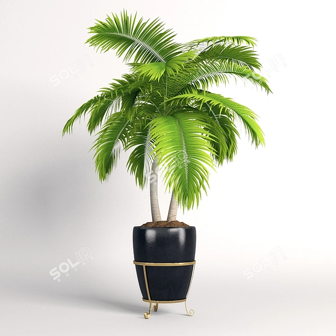 Tropical Duo Palm Trees 3D model image 1