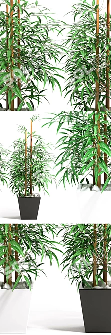 Zen Bamboo: Natural Serenity 3D model image 1