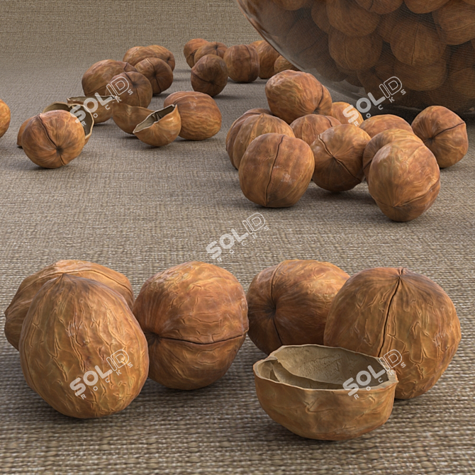 Premium Walnut Bundle 3D model image 1