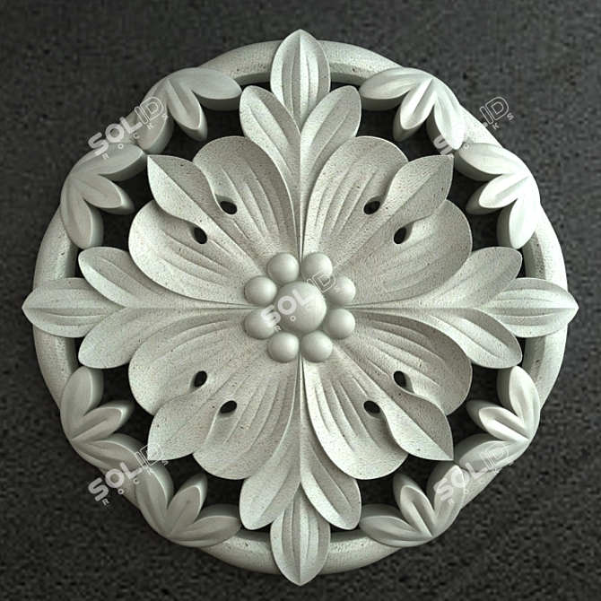 3D Medallion Carving Ornament 3D model image 1