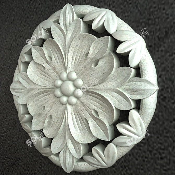 3D Medallion Carving Ornament 3D model image 2