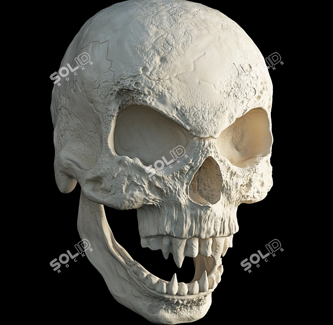 Bloodlust Skull Vampire 3D model image 1